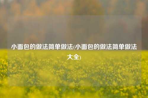 小面包的做法简单做法(小面包的做法简单做法大全)