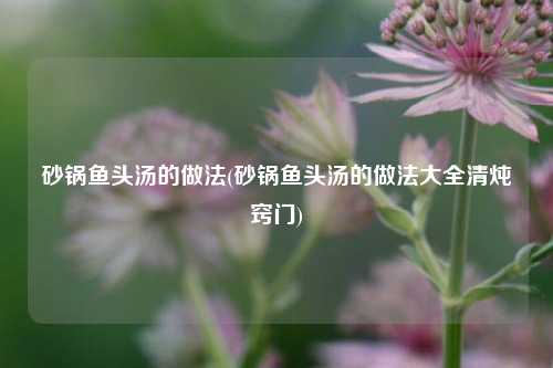 砂锅鱼头汤的做法(砂锅鱼头汤的做法大全清炖窍门)
