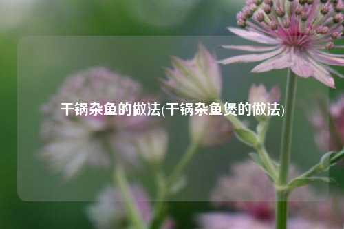 干锅杂鱼的做法(干锅杂鱼煲的做法)