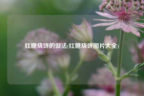 红糖烧饼的做法(红糖烧饼图片大全)