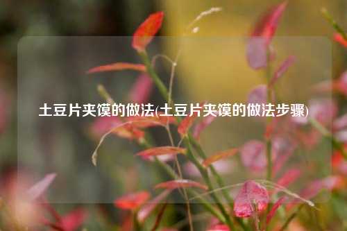 土豆片夹馍的做法(土豆片夹馍的做法步骤)