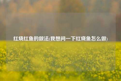 红烧红鱼的做法(我想问一下红烧鱼怎么做)
