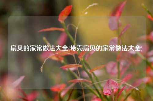 扇贝的家常做法大全(带壳扇贝的家常做法大全)