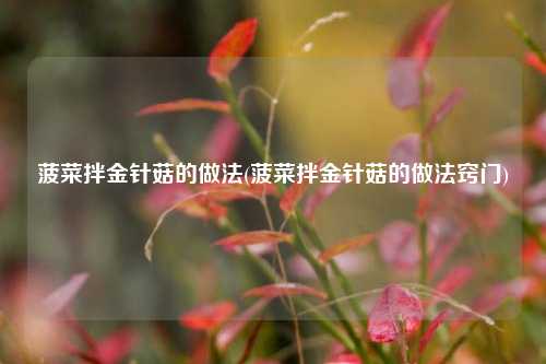 菠菜拌金针菇的做法(菠菜拌金针菇的做法窍门)