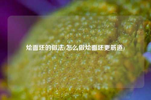 烩面坯的做法(怎么做烩面坯更筋道)