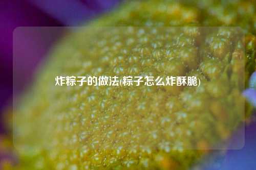 炸粽子的做法(粽子怎么炸酥脆)