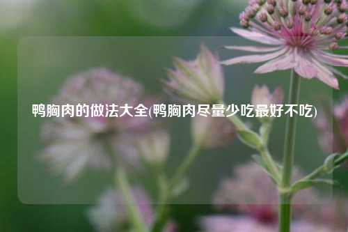 鸭胸肉的做法大全(鸭胸肉尽量少吃最好不吃)