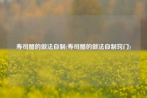 寿司醋的做法自制(寿司醋的做法自制窍门)