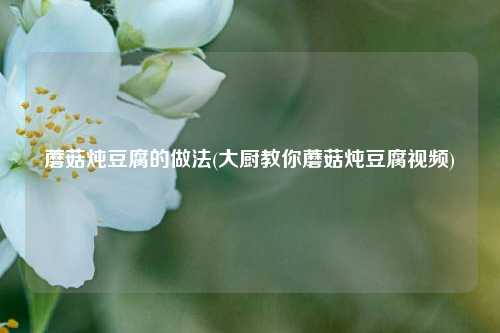 蘑菇炖豆腐的做法(大厨教你蘑菇炖豆腐视频)