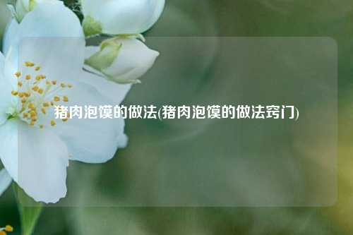 猪肉泡馍的做法(猪肉泡馍的做法窍门)