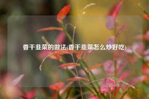 香干韭菜的做法(香干韭菜怎么炒好吃)