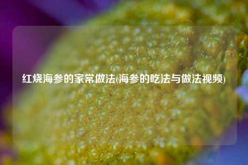 红烧海参的家常做法(海参的吃法与做法视频)